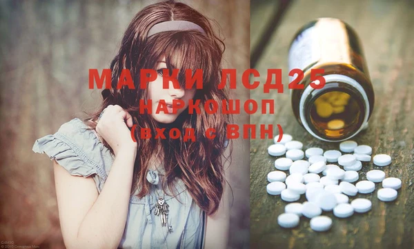 ешки Аркадак