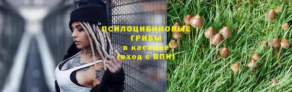 ПСИЛОЦИБИНОВЫЕ ГРИБЫ Алексин